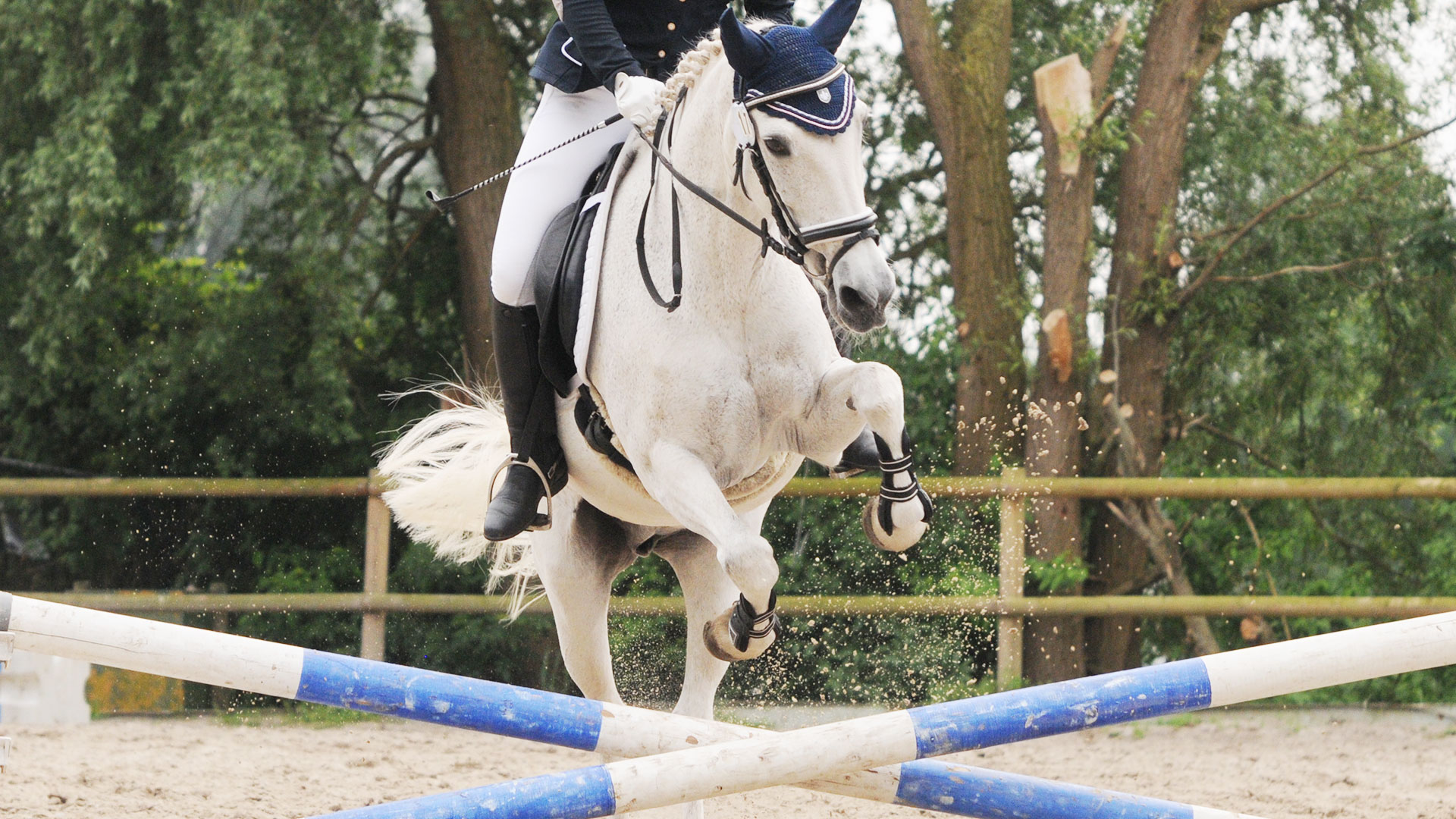 Reitverein Bockhorn e.V.